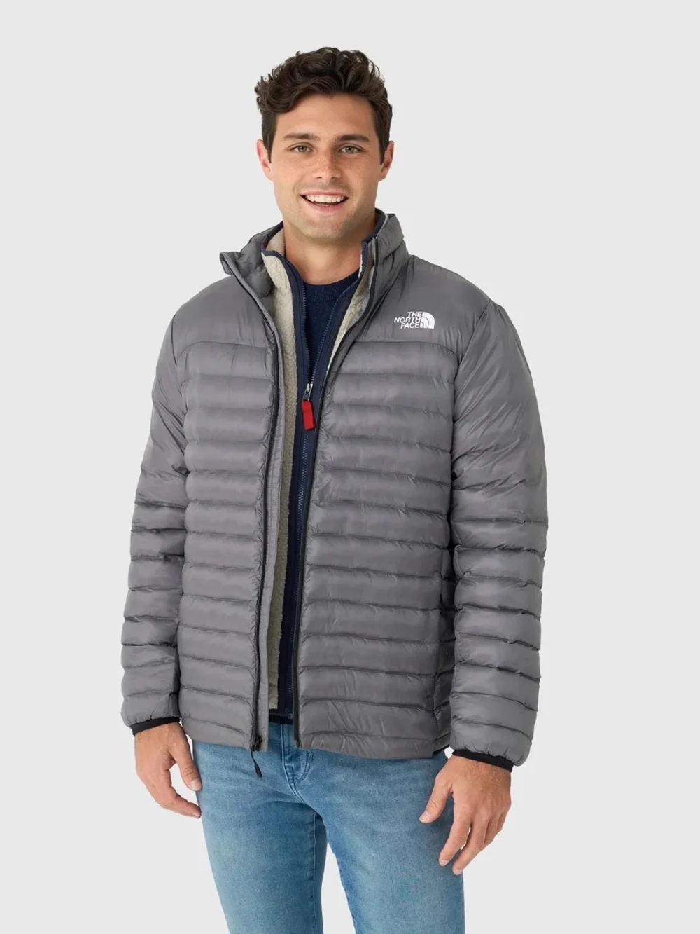 NWT The North Face Men's Terra Peak Jacket in Smoked Pearl